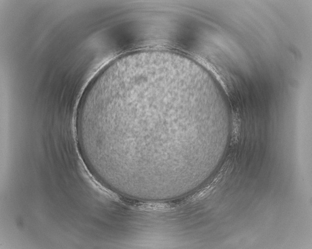 X0000115541090200911201735