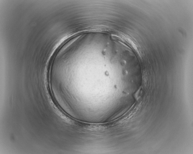 X0000115541091200911201735