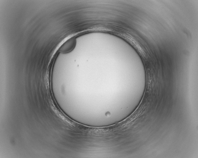 X0000115541092200911201735