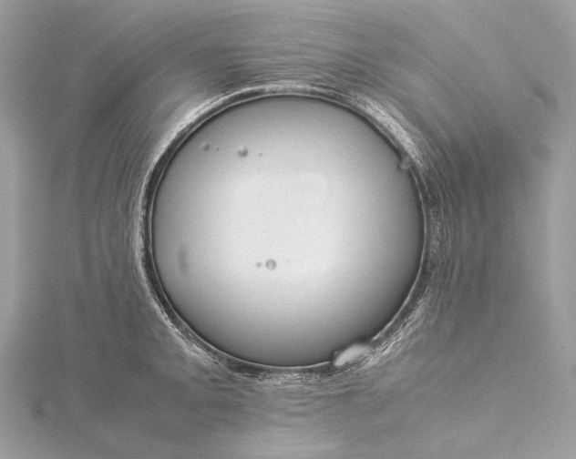 X0000115541093200911201735