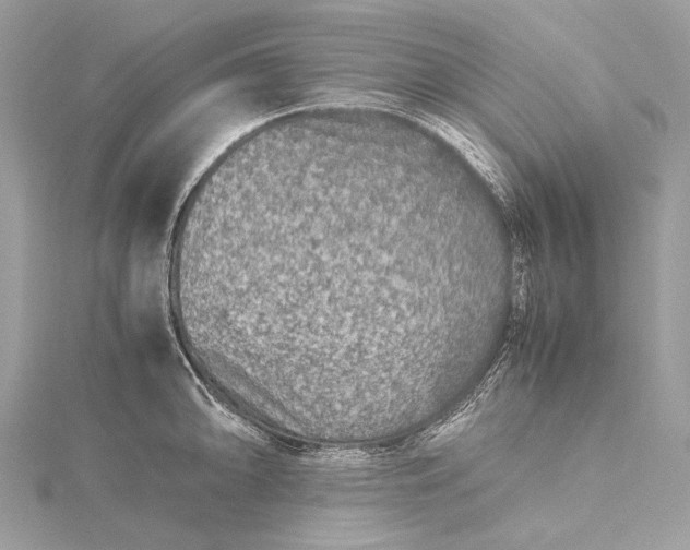 X0000115541094200911201735