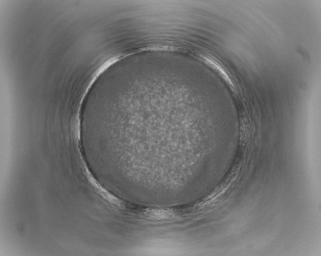 X0000115541095200911201735