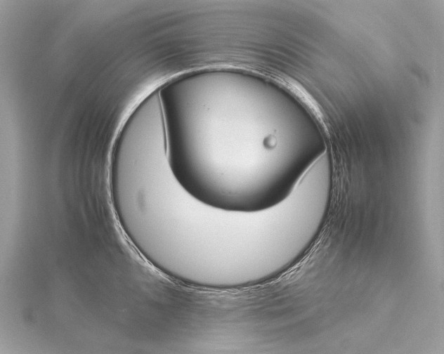 X0000115541096200911201735