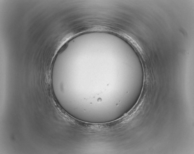 X0000115541097200911201735