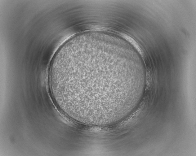 X0000115541098200911201735