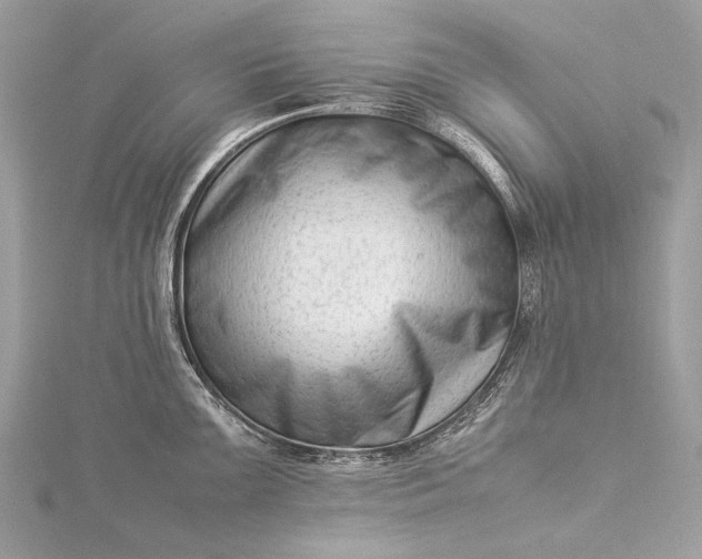 X0000115541099200911201735