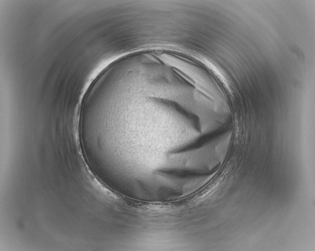 X0000115541102200911201735