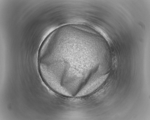 X0000115541103200911201734