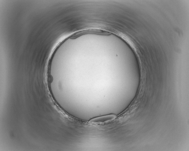 X0000115541104200911201734