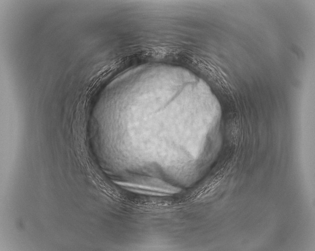 X0000115541105200911201734