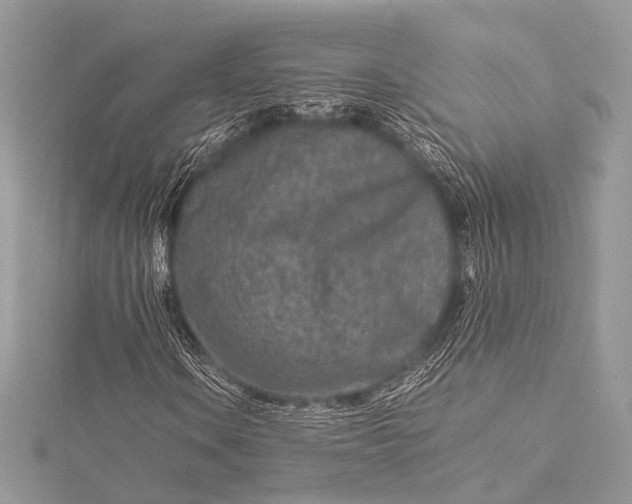 X0000115541106200911201734