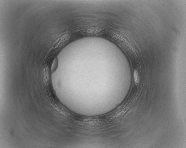 X0000115541107200911201734