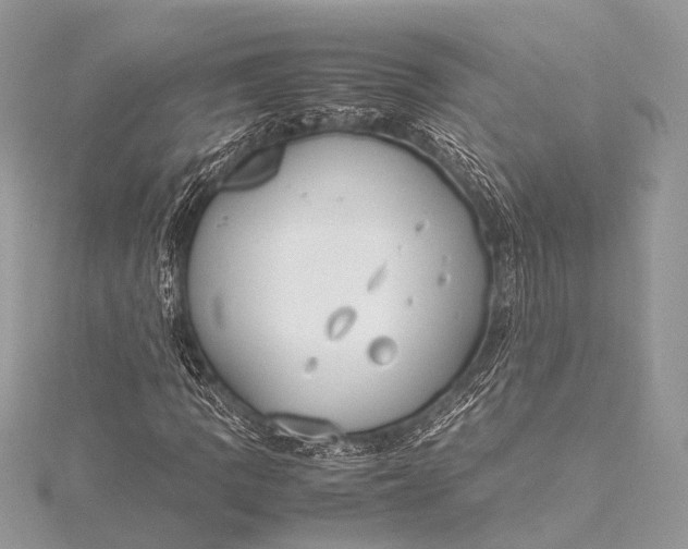 X0000115541109200911201734