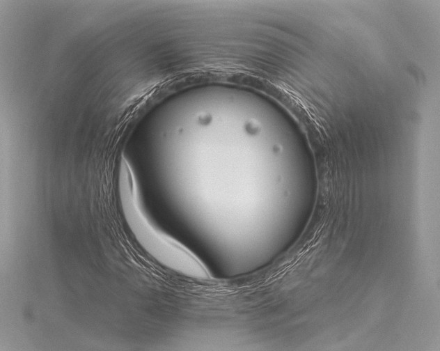 X0000115541110200911201734