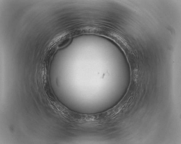 X0000115541111200911201734