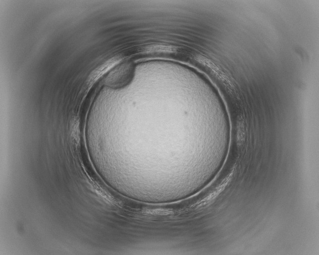 X0000115541113200911201734