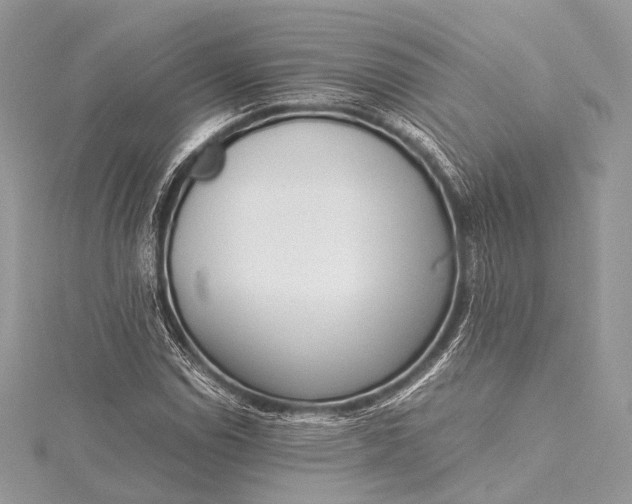 X0000115541114200911201734