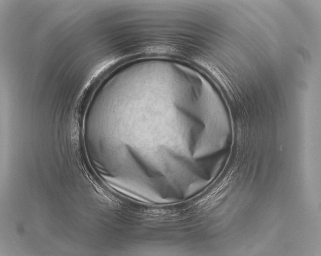 X0000115541115200911201734