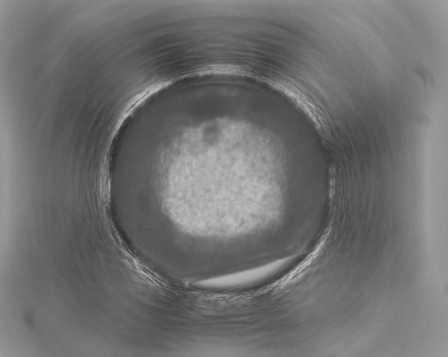 X0000115541117200911201734