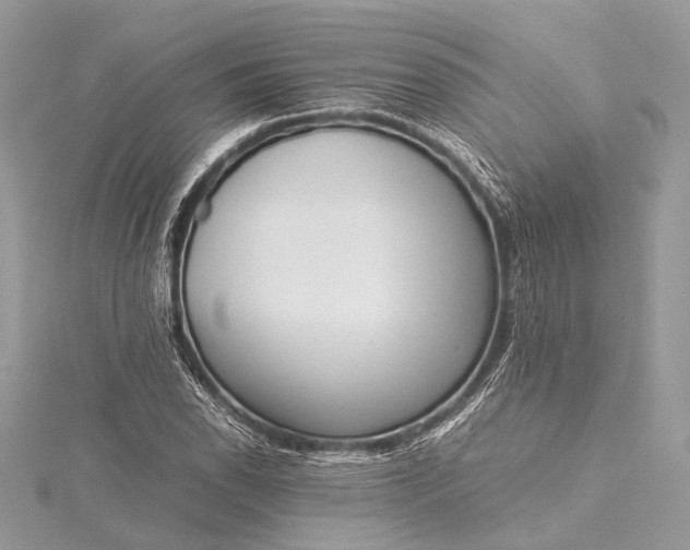 X0000115541118200911201734