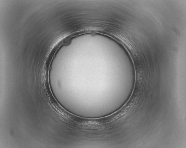 X0000115541119200911201734