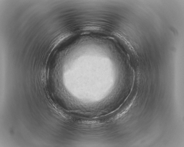 X0000115541121200911201734