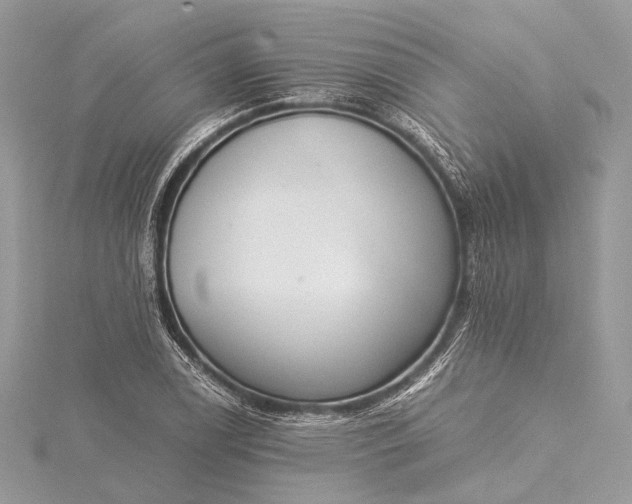 X0000115541122200911201734