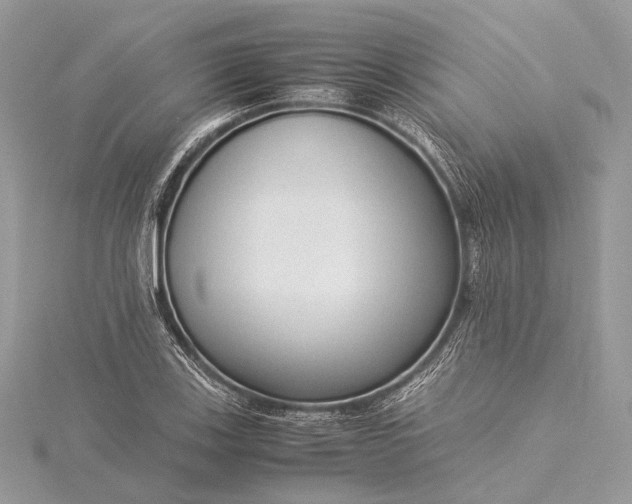 X0000115541123200911201734