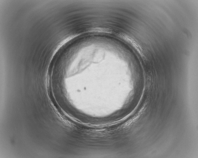 X0000115541125200911201734