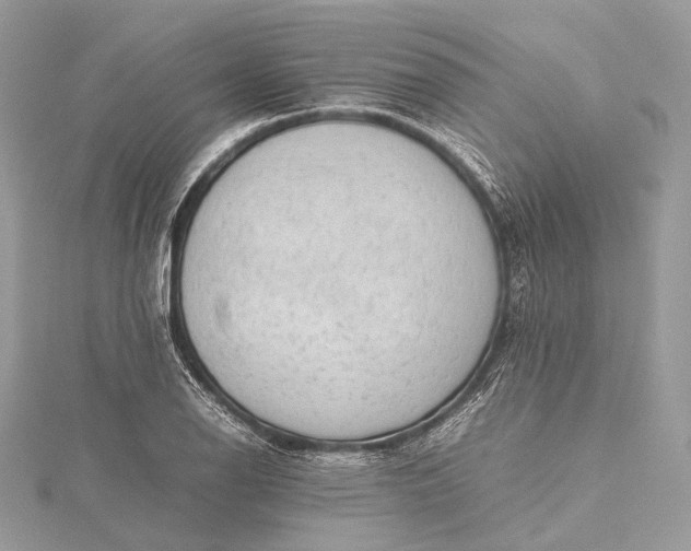 X0000115541126200911201734