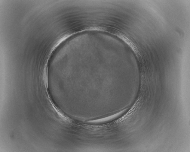 X0000115541127200911201734