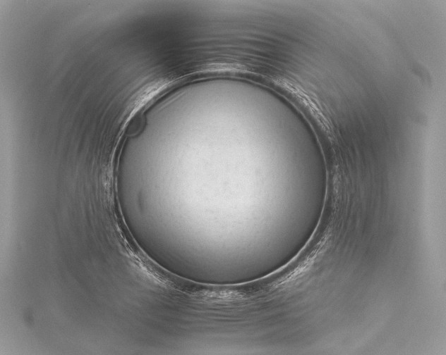 X0000115541129200911201734