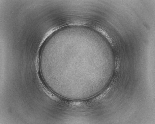 X0000115541130200911201734