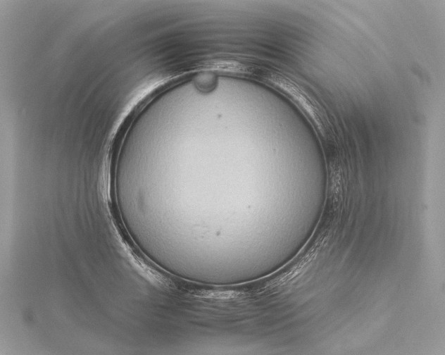 X0000115541131200911201734