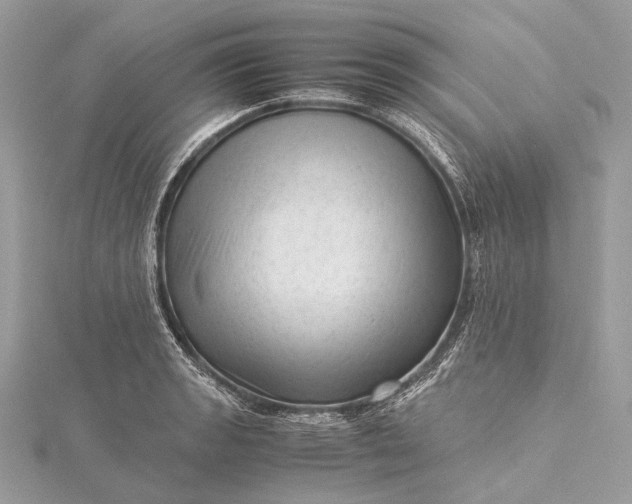 X0000115541133200911201734