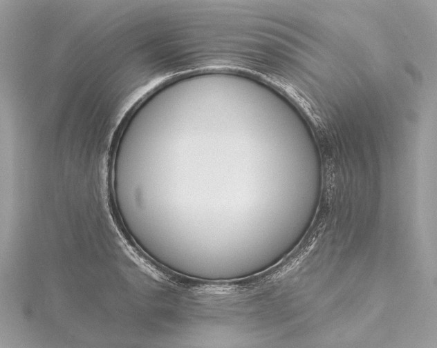 X0000115541134200911201734