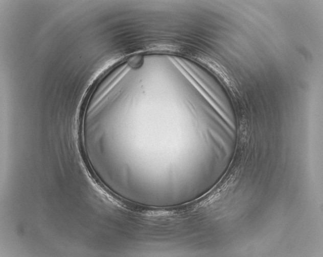 X0000115541135200911201734