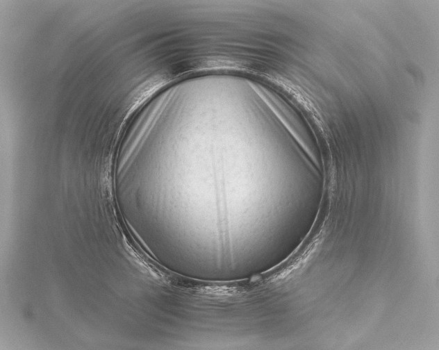 X0000115541137200911201734