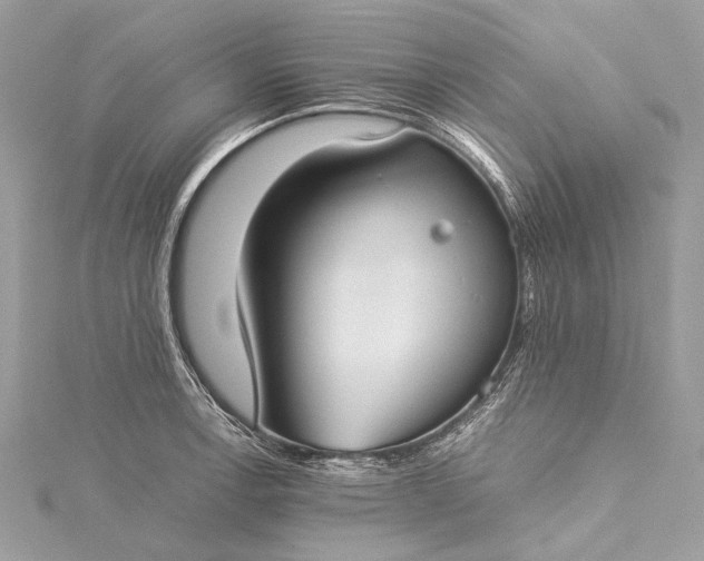 X0000115541138200911201734