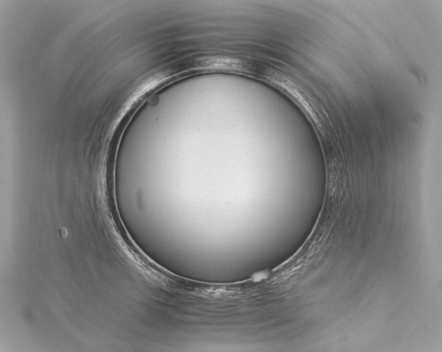 X0000115541139200911201734