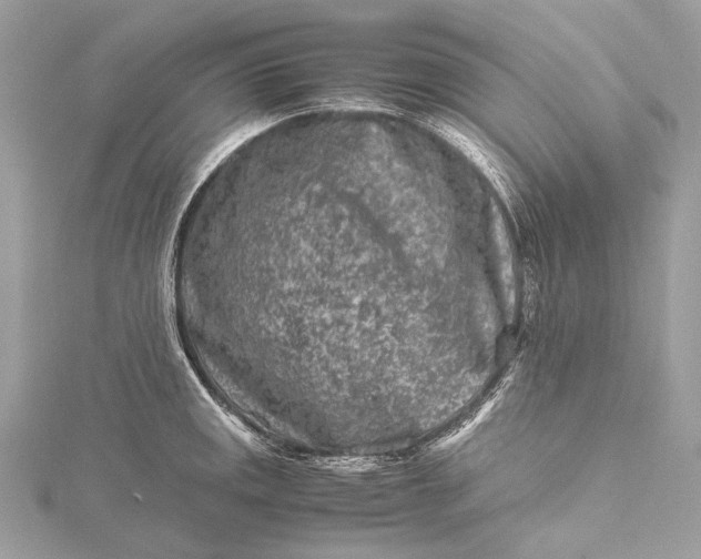 X0000115541141200911201734