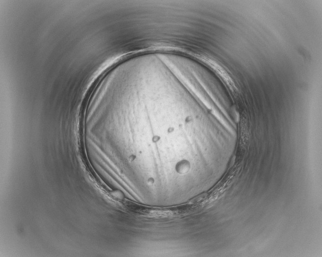 X0000115541142200911201734