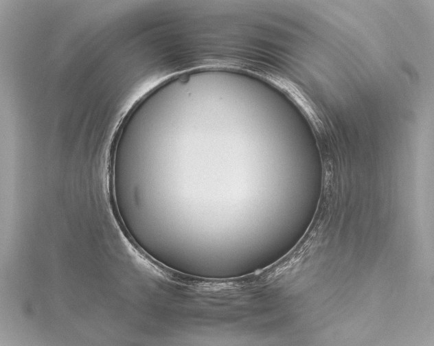 X0000115541143200911201734