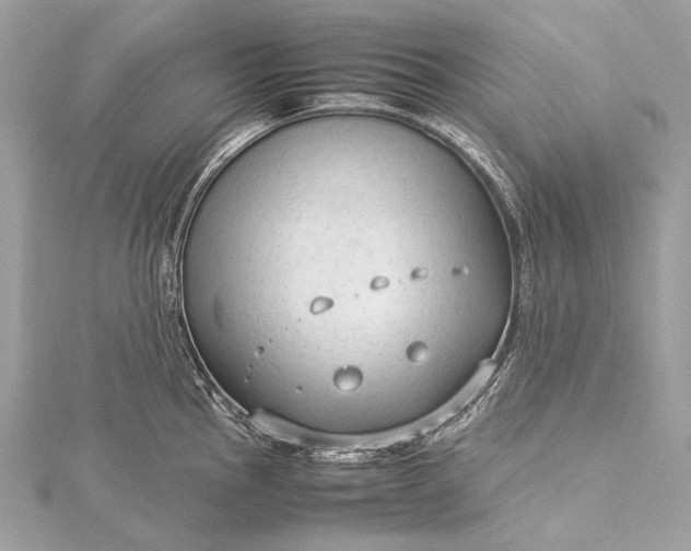 X0000115541145200911201734