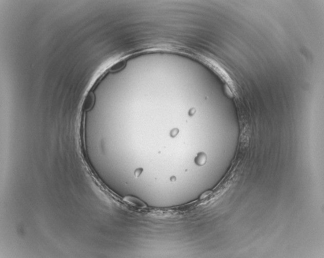 X0000115541146200911201734