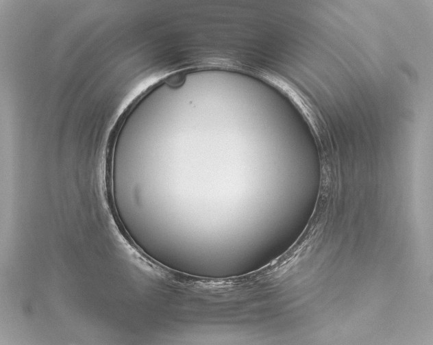 X0000115541147200911201734