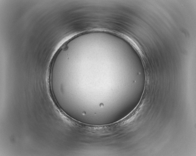 X0000115541149200911201734