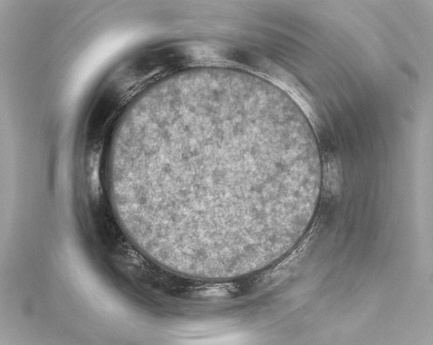 X0000115541150200911201734