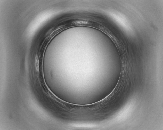 X0000115541151200911201734