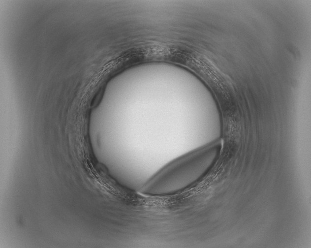 X0000115541153200911201734